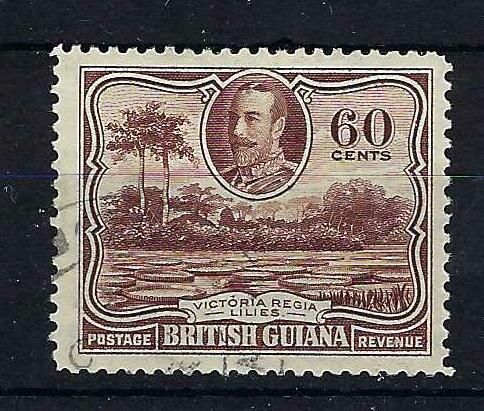 Image of British Guiana/Guyana SG 297 FU British Commonwealth Stamp